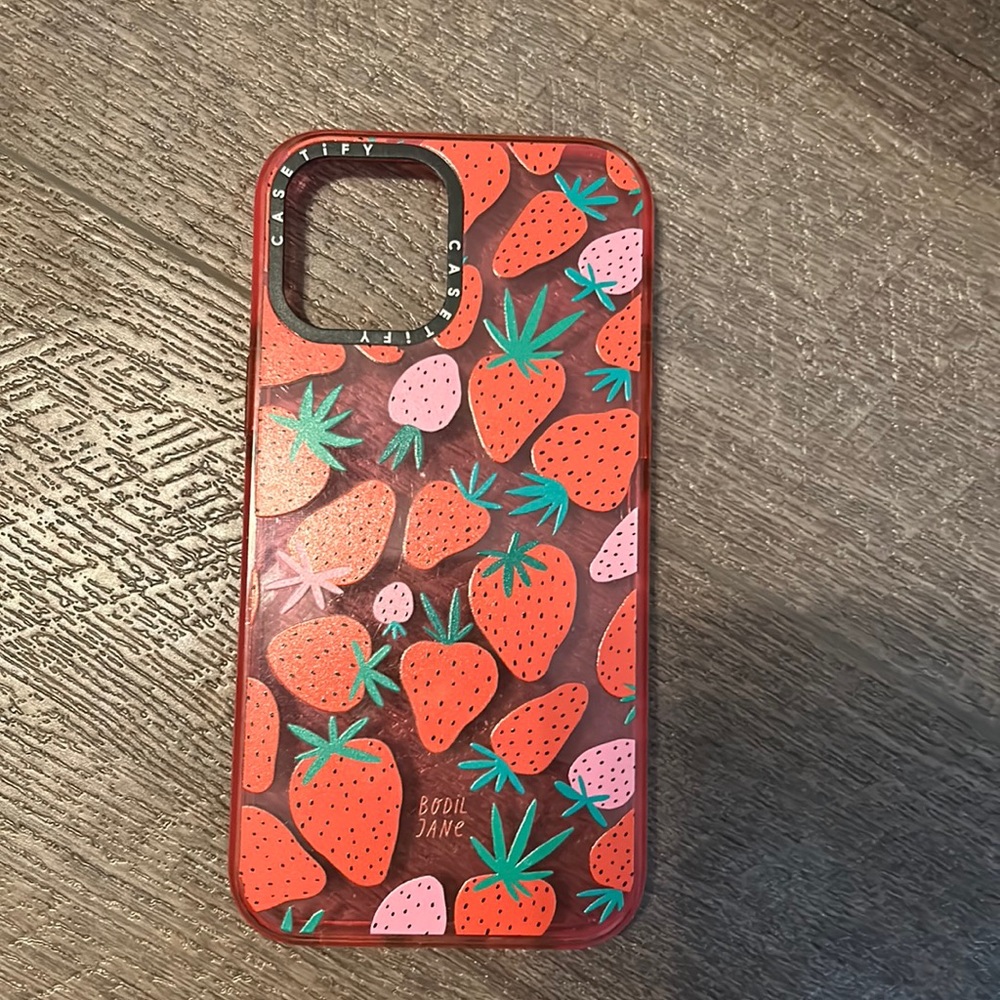 Casetify iPhone 12/13 pro max case
